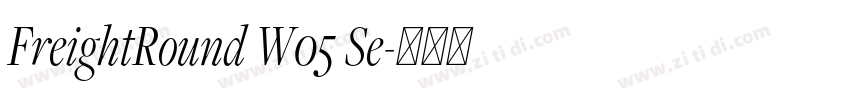 FreightRound W05 Se字体转换